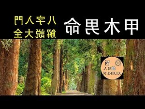 五行 甲木